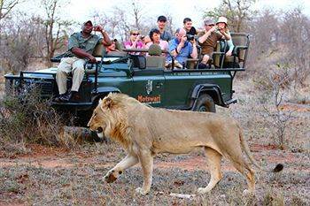Motswari Private Game Reserve - Timbavati Reserva Natural Privada de Klaserie Exterior foto